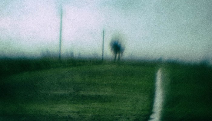 Read PLATO IN/OUT by Manuele Cecconello