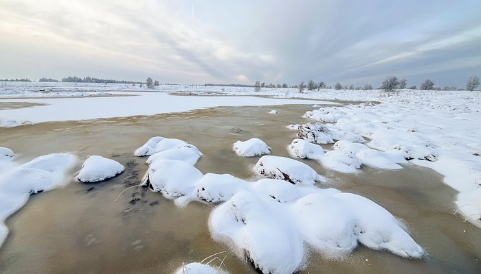 Read Belgium 2025: High Fens by Filip H.A. Claeys