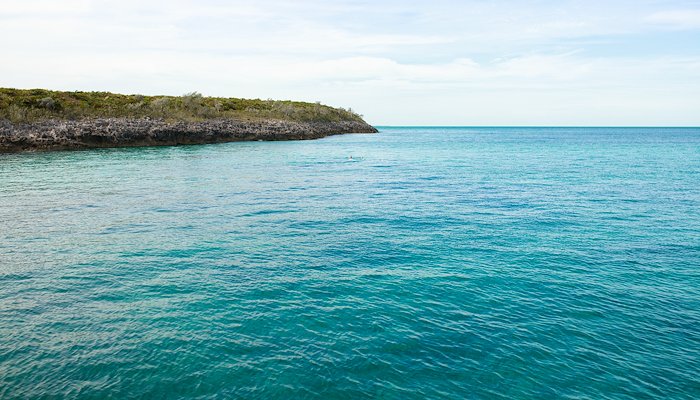 Read A Bahamian Sail by Christieanna Martin