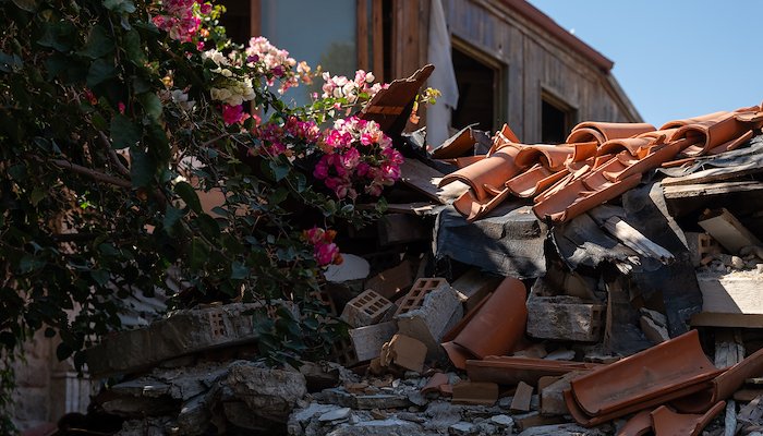 Read Finding Resilience in the Ruins by Thousand Currents