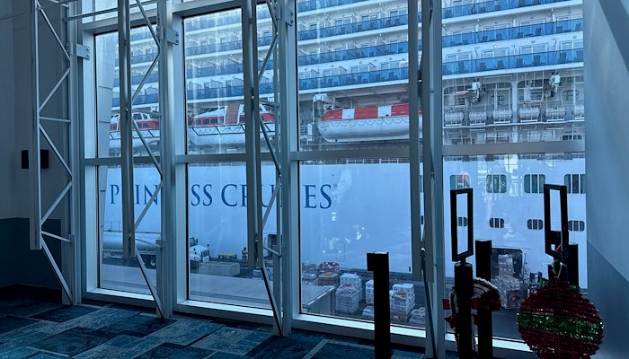 Read Caribbean Princess by CHRIS OWEN