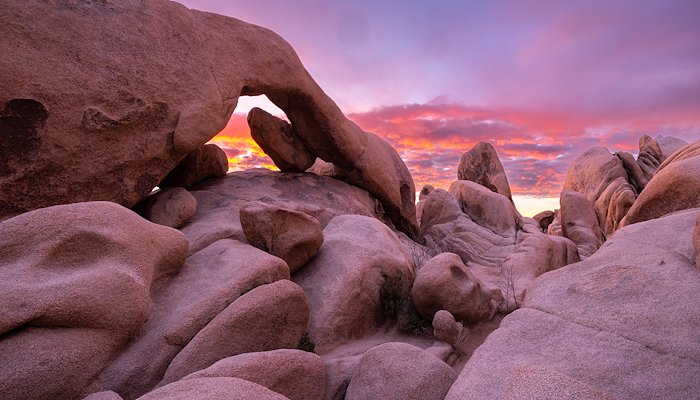 Read Joshua Tree National Park by Scott Richardson