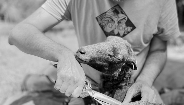 Read Ruční stříž by Marek Uhlir