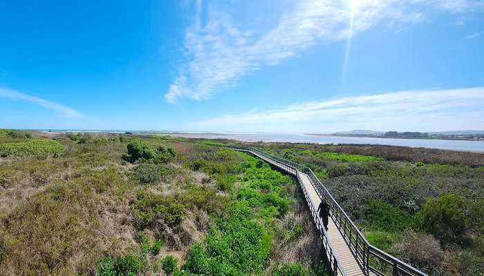 Read Strengthening Ecological Connectivity for Biodiversity Conservation in Chile by Viktoriia Brezheniuk