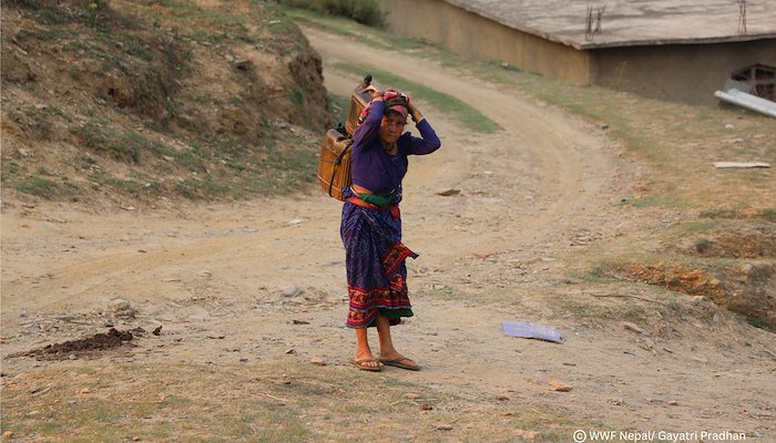 Read Reviving Springs: A Community’s Fight for Water Security by WWF Nepal