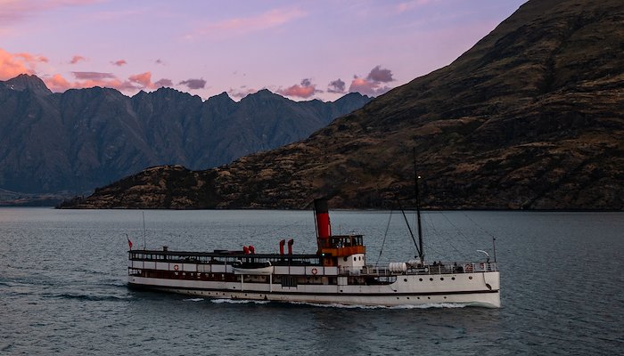 Read Queenstown & Dunedin by Hilton Luke