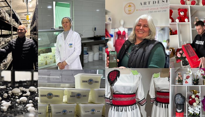 Read Shifting Perspectives for Business Growth by UNDP Kosovo