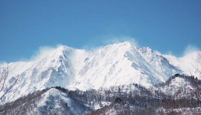 Read British School Manila | Hakuba, Japan by Trans World Educational Experiences