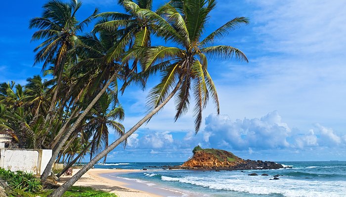 Read Dubai American Academy | Sri Lanka by Trans World Educational Experiences