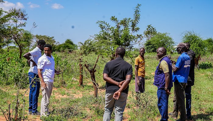 Read Pioneering sustainable agricultural techniques for local farmers in Karamoja by Africa Borderlands Centre