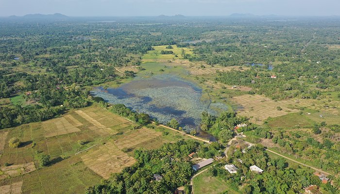 Read Reviving Tradition, Building Resilience by UNDP Sri Lanka
