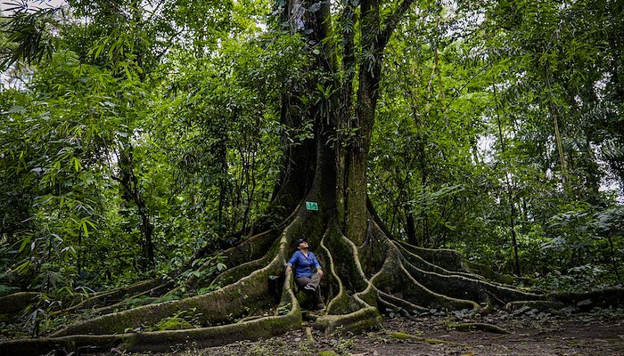 Read Mujeres tejiendo redes en favor de la igualdad y la acción climática by PNUD Perú