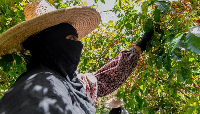 Read تقود المرأة في اليمن جهود التعافي من أجل بناء قدرة المجتمع على الصمود by Communications UNDP Yemen