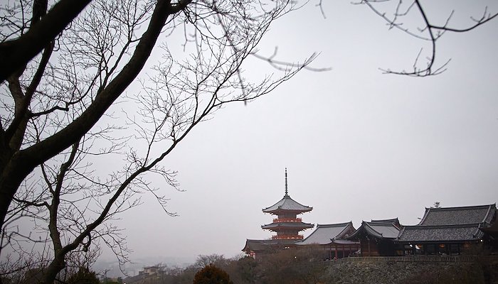 Read The Pulse of Japan by Fermín Rodríguez