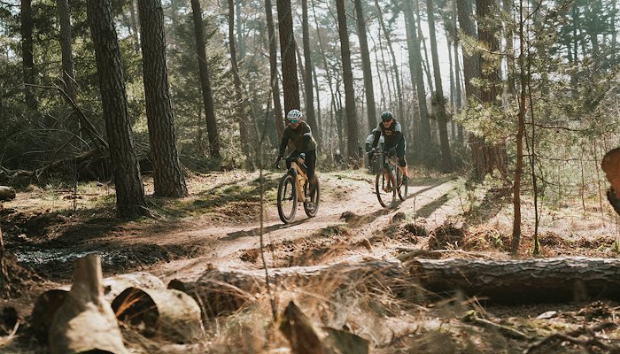 Read Parelkoers 2025 by True Grit Cycling Productions