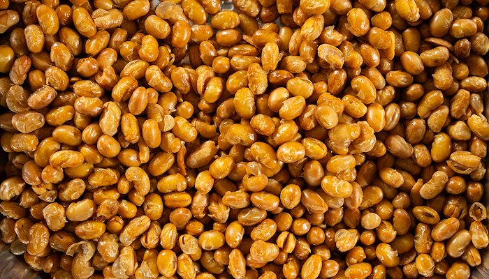 Read Purdue students 'soy-prise' all with innovative soy-based creations by Purdue Agriculture