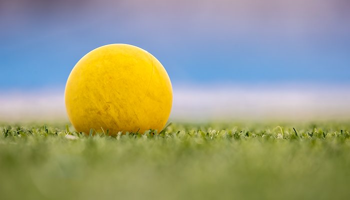Read SALEM HILLS vs COPPER HILLS by Steve Gray