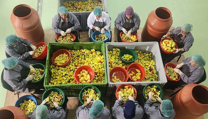 Read Trailblazing Success: Valbona’s Entrepreneurial Journey by UNDP Kosovo