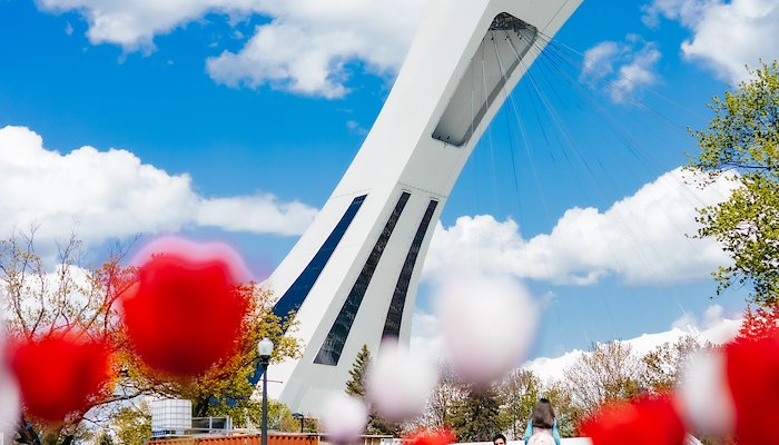 Read LE JARDIN BOTANIQUE DE MONTRÉAL by Boris Laplante