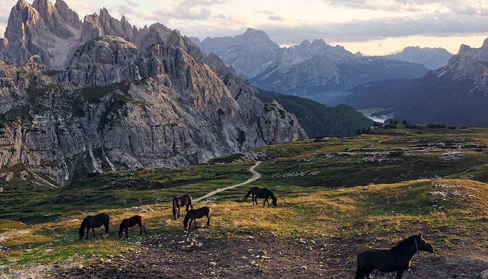 Read A dream of Heavenly Horses by Jordan Lloyd