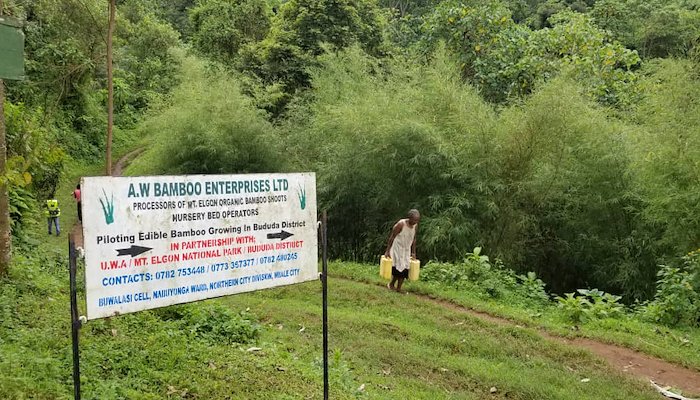 Read Landslides could alter water cycle in Mt Elgon Region by IW:LEARN