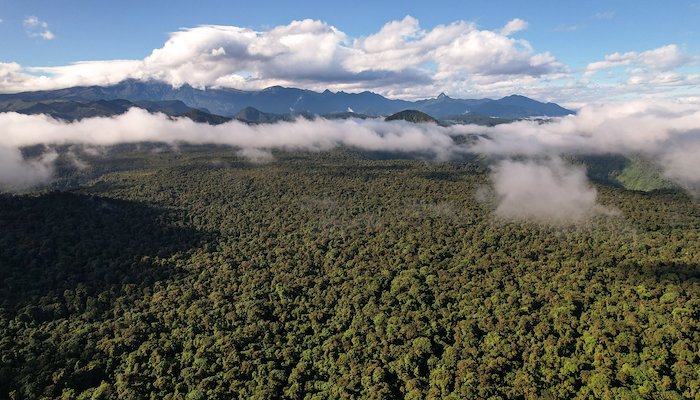 Read Un Plan para el agua by PNUD Colombia