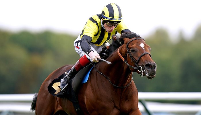 Read New NH sires at stud in Britain and Ireland by Sally DUCKETT