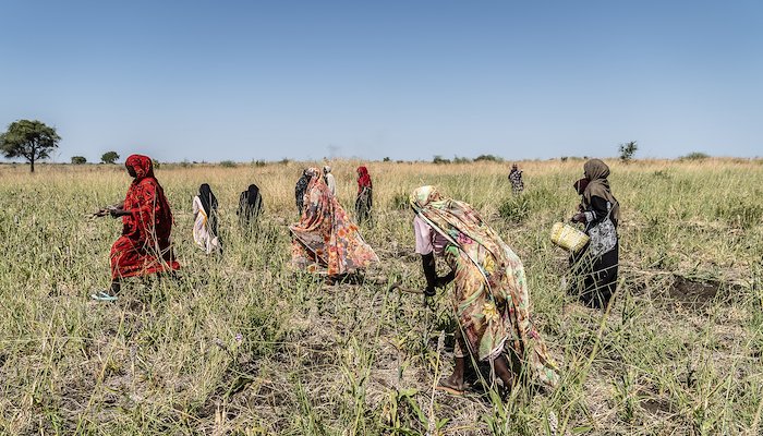 Read Making funds go further as Sudan's war continues&nbsp; &nbsp; &nbsp; by Robert Few
