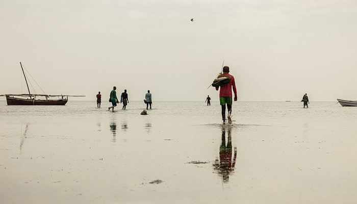 Read Reviving East Africa’s fisheries: community actions for a sustainable future by Blue Ventures