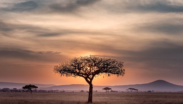 Read Traditional knowledge for a sustainable future by UNDP Nature