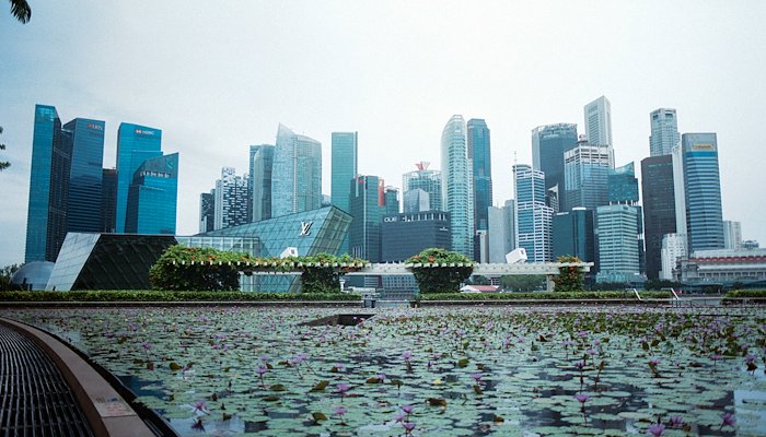 Read 72 hours in Singapore by Fiona Bai