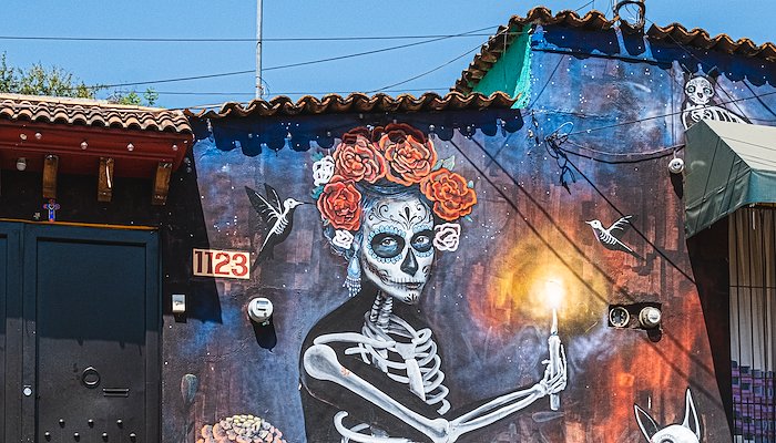 Read Mexico City & Oaxaca by Cory Schadt