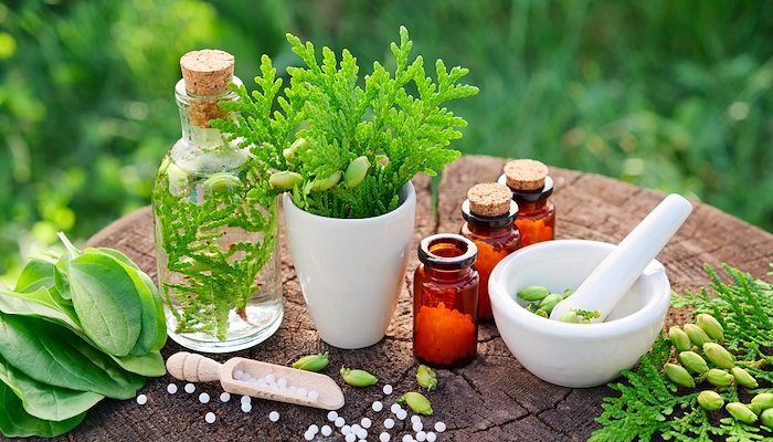Read Embracing Natural Wellness Through Reputable Online Retailers by Daily Blog