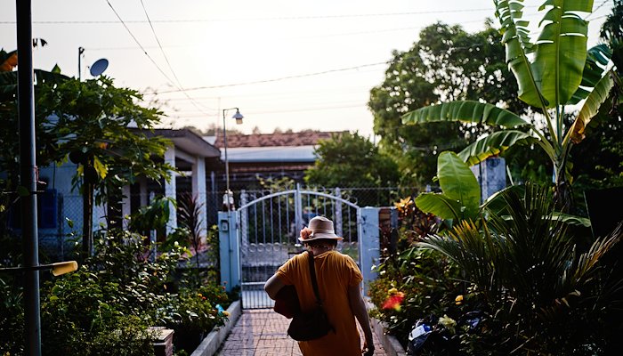 Read March in Vietnam by Ted Nghiem