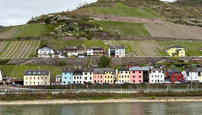 Read Viking Rhine River Cruise by Jill Meyers