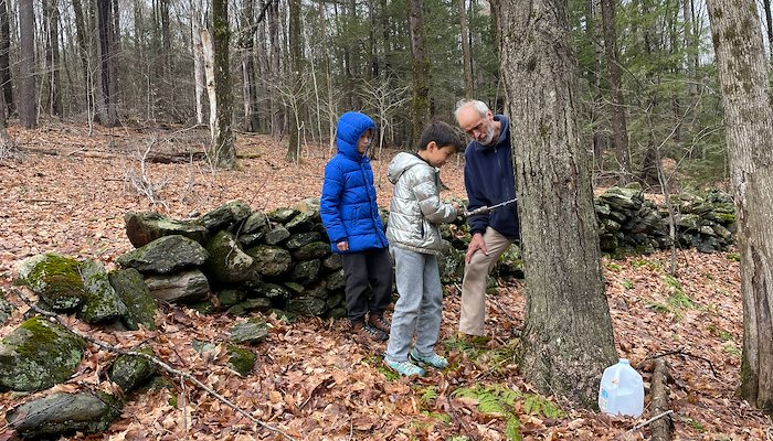 Read Maple Sugaring by Michael J Gradziel
