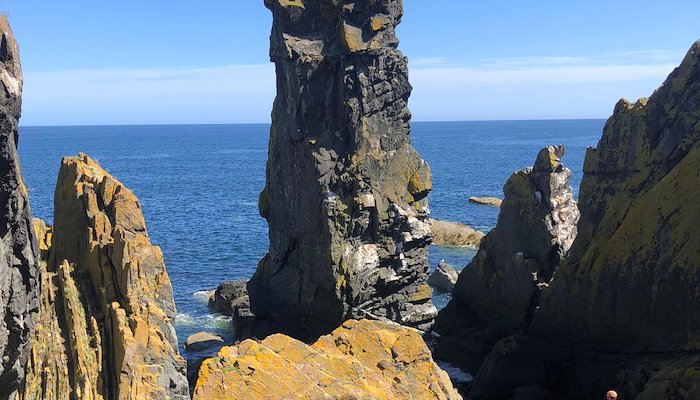 Read The Souter by The Northumbrian Mountaineering Club