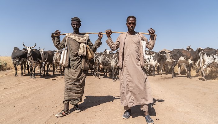 Read عامان من الحرب: صُورة لِشَعب يُحاوِل النَجاة by Robert Few