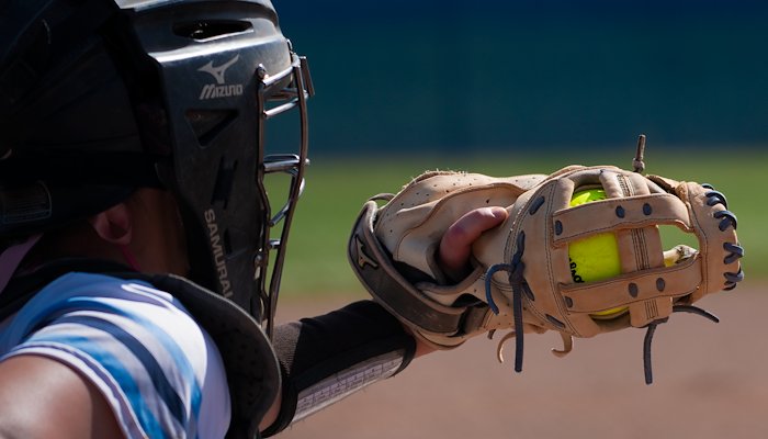 Read BASEBALL & SOFTBALL by Steve Gray
