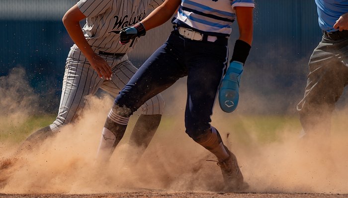 Read SOFTBALL & BASEBALL by Steve Gray