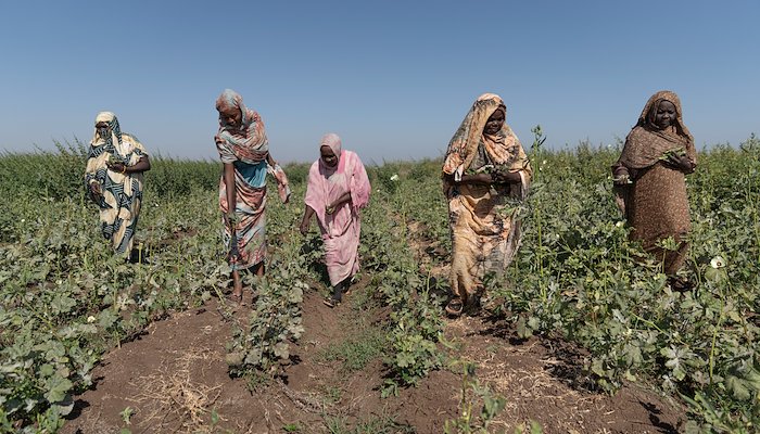Read Making funds go further as Sudan’s war continues by United Nations Development Programme