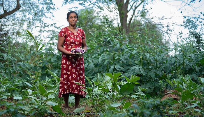 Read A New Dawn by UNDP Sri Lanka