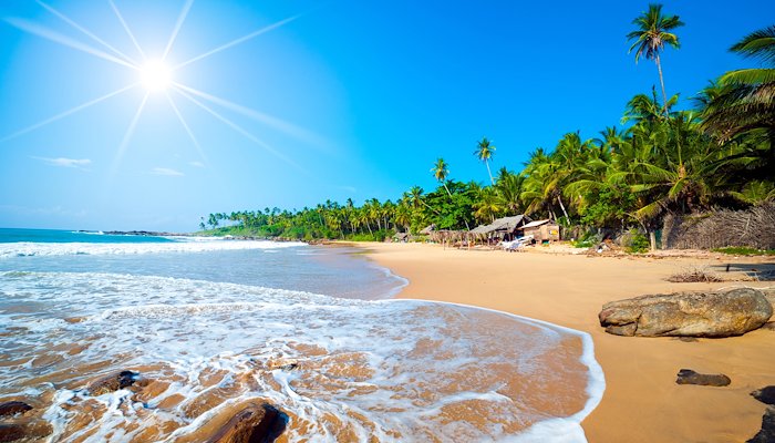 Read DUBAI ENGLISH SPEAKING COLLEGE | SRI LANKA RUGBY TOUR by Trans World Educational Experiences