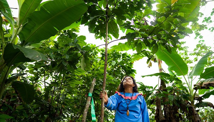 Read Empowering Women, Protecting the Planet by PNUD en América Latina y el Caribe