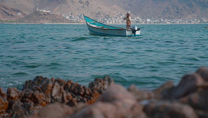 Read Fish-focused projects bring waves of opportunity to Yemen by Communications UNDP Yemen