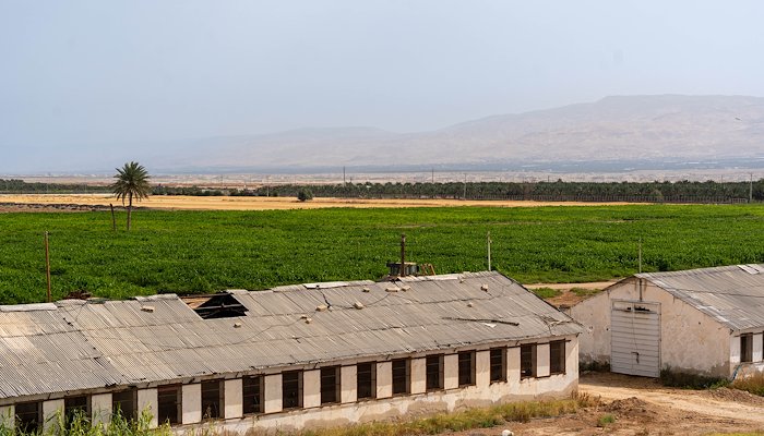 Read Sustainable Dairy Farming: A Pathway for Environmental and Economic Resilience in Palestine by UNDPArabic