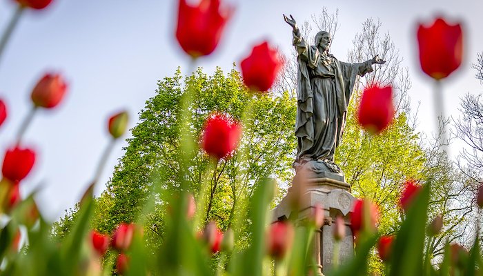 Read Snapshots of spring by Notre Dame Stories