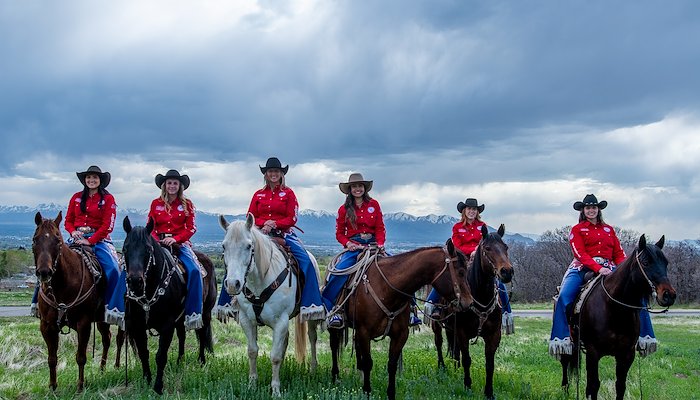 Read THE UTAH COWGIRL COLLECTIVE by Steve Gray