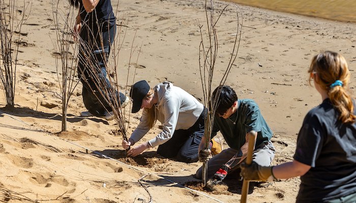 Read Community Takes Root by UNC Asheville
