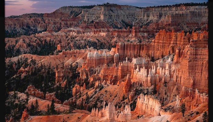 Read American Roadtrip by Mike Wicki PHOTOGRAPHY